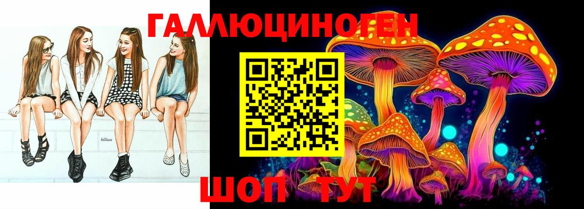 Псилоцибиновые грибы Psilocybe Петропавловск-Камчатский